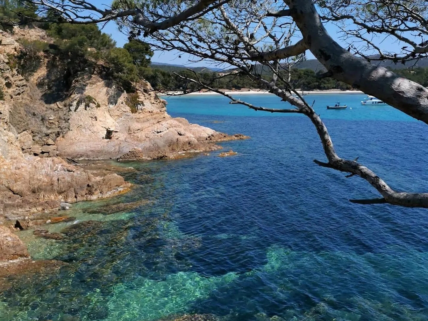 Studio A Hyeres Port - Proche De Toutes Commodites location